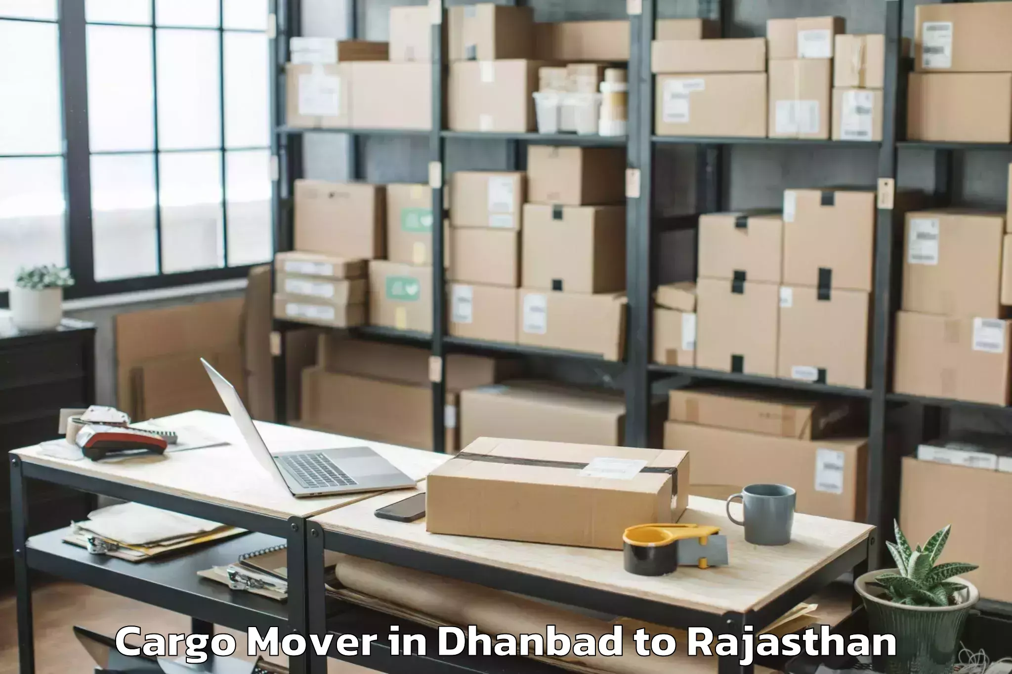 Affordable Dhanbad to Salumbar Cargo Mover